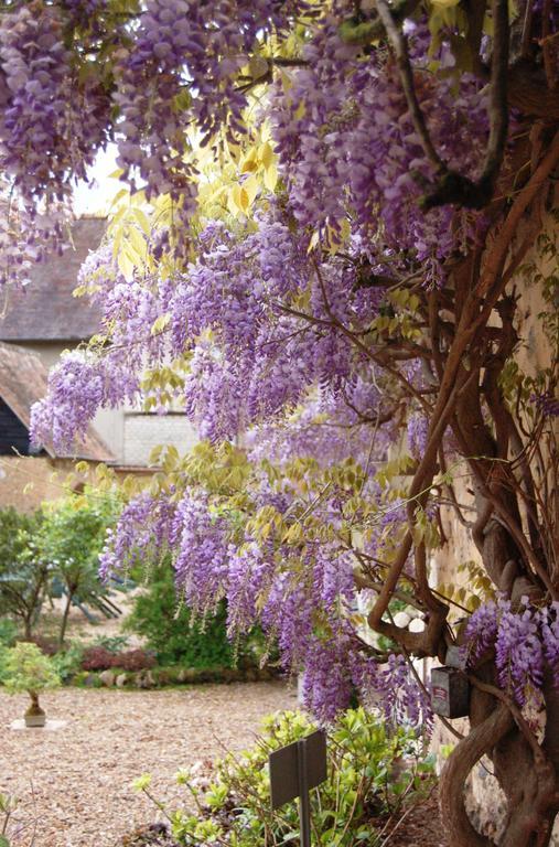 La Chaiserie La Croix-Saint-Leufroy Экстерьер фото